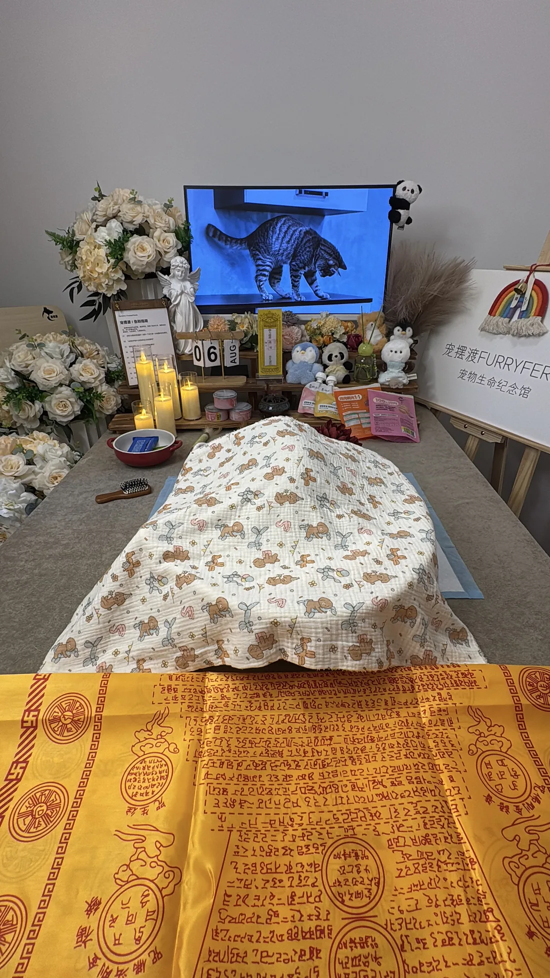泉州宠物告别仪式中的鲜花与纪念照片